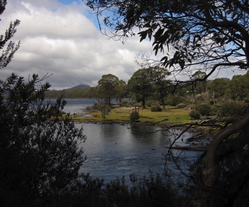 35 - Platypus Bay, Lake Saint Claire, Tasmania
